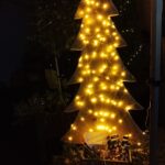IMG_20241221_171059